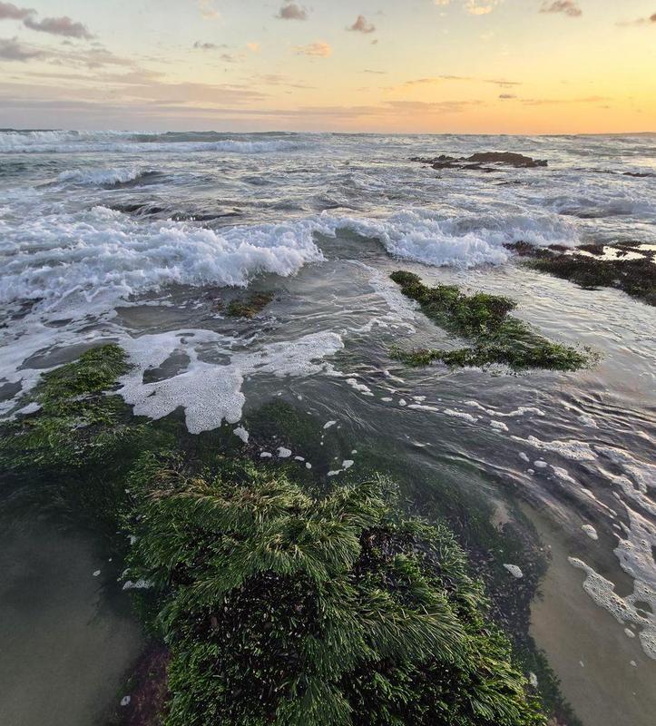 0 Bedroom Property for Sale in Moquini Western Cape